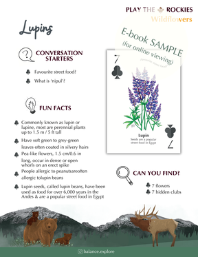 E-book of all: 54 Information Sheets • Mountains • Wildlife • Activities • Wildflowers