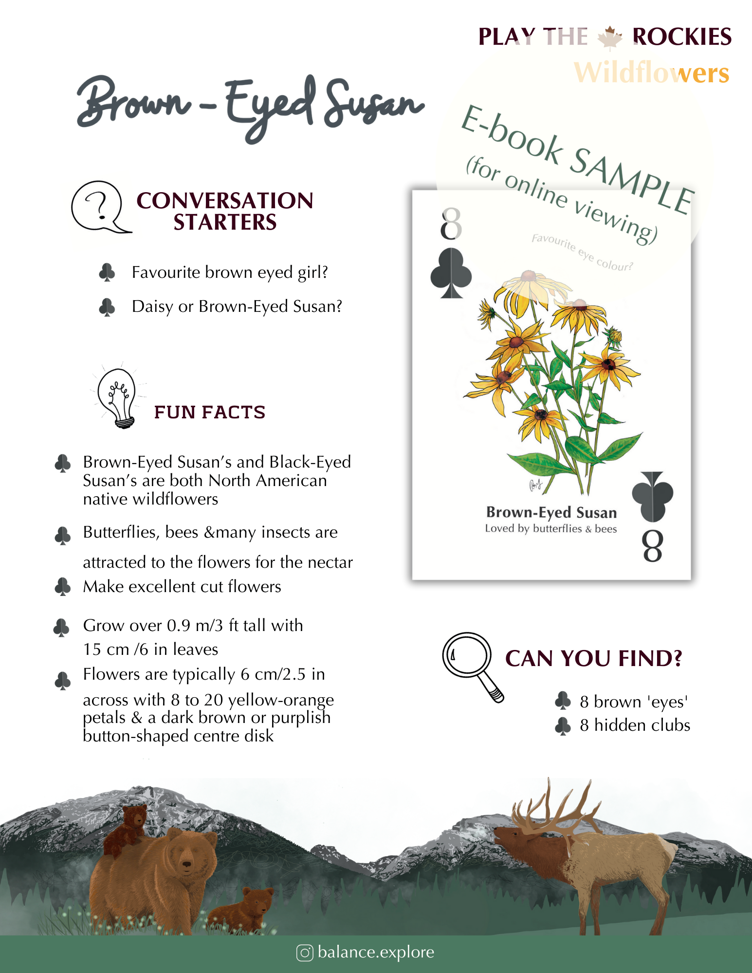 E-book of all: 54 Information Sheets • Mountains • Wildlife • Activities • Wildflowers