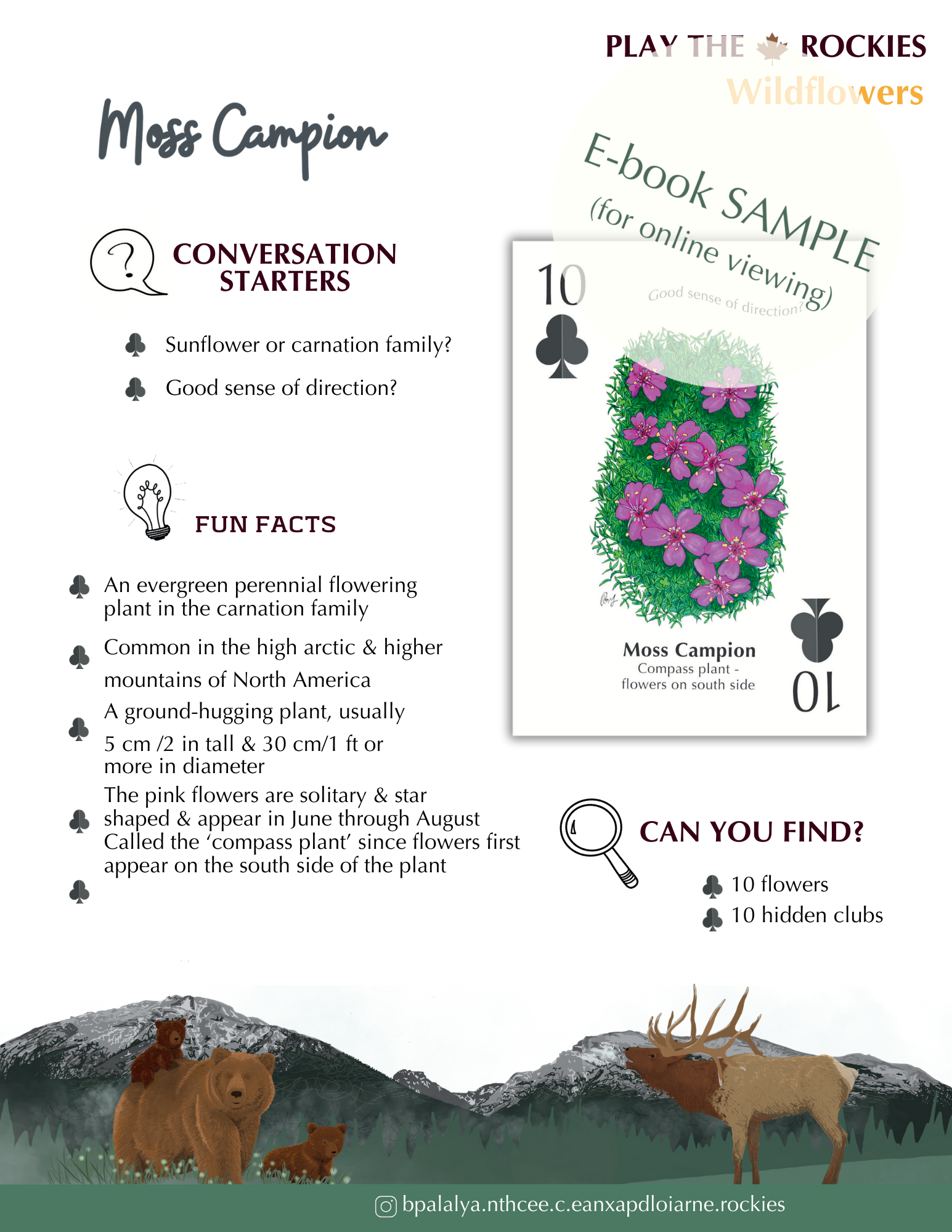 E-book of all: 54 Information Sheets • Mountains • Wildlife • Activities • Wildflowers