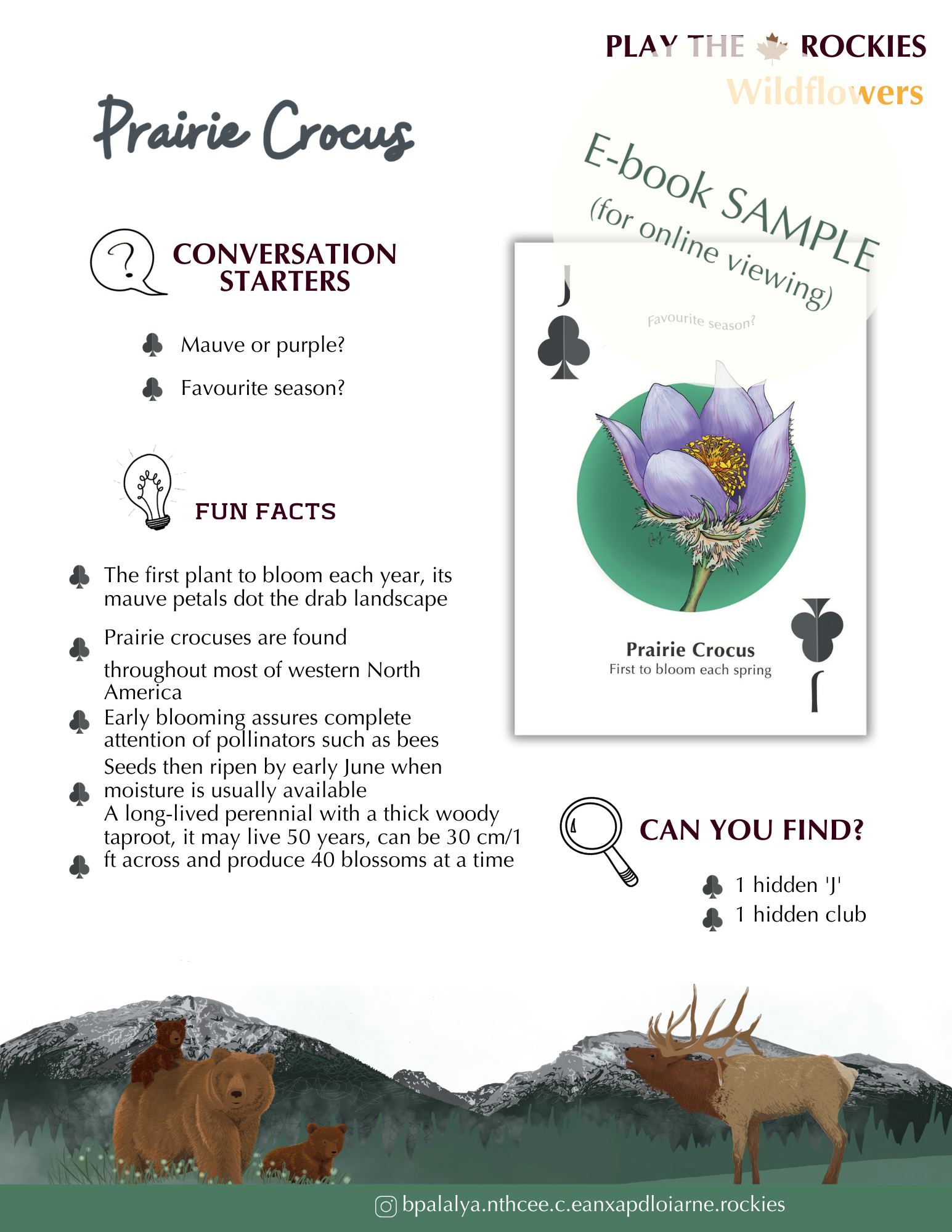 E-book of all: 54 Information Sheets • Mountains • Wildlife • Activities • Wildflowers