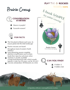 E-book of all: 54 Information Sheets • Mountains • Wildlife • Activities • Wildflowers
