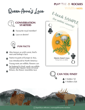 E-book of all: 54 Information Sheets • Mountains • Wildlife • Activities • Wildflowers