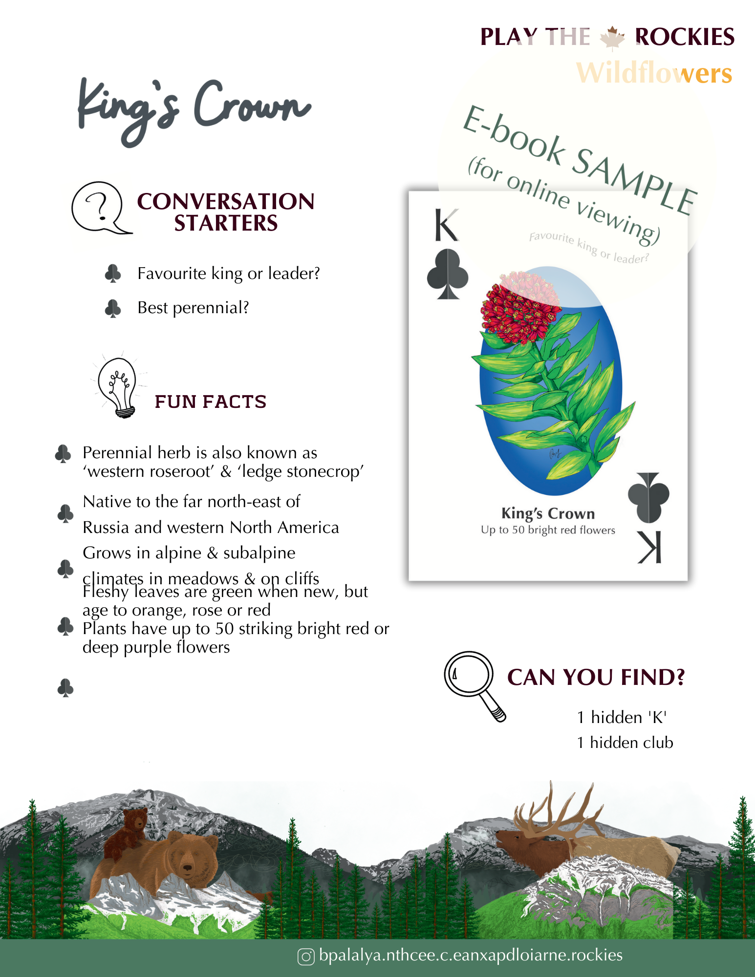 E-book of all: 54 Information Sheets • Mountains • Wildlife • Activities • Wildflowers