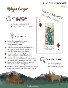 E-book of all: 54 Information Sheets • Mountains • Wildlife • Activities • Wildflowers