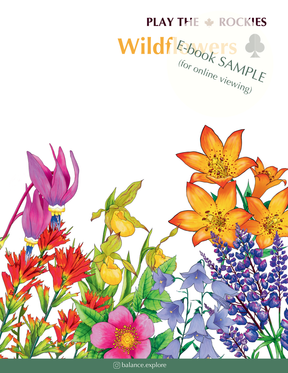 E-book of all: 54 Information Sheets • Mountains • Wildlife • Activities • Wildflowers