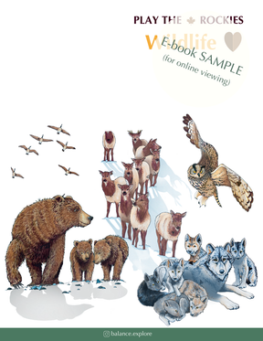E-book of all: 54 Information Sheets • Mountains • Wildlife • Activities • Wildflowers