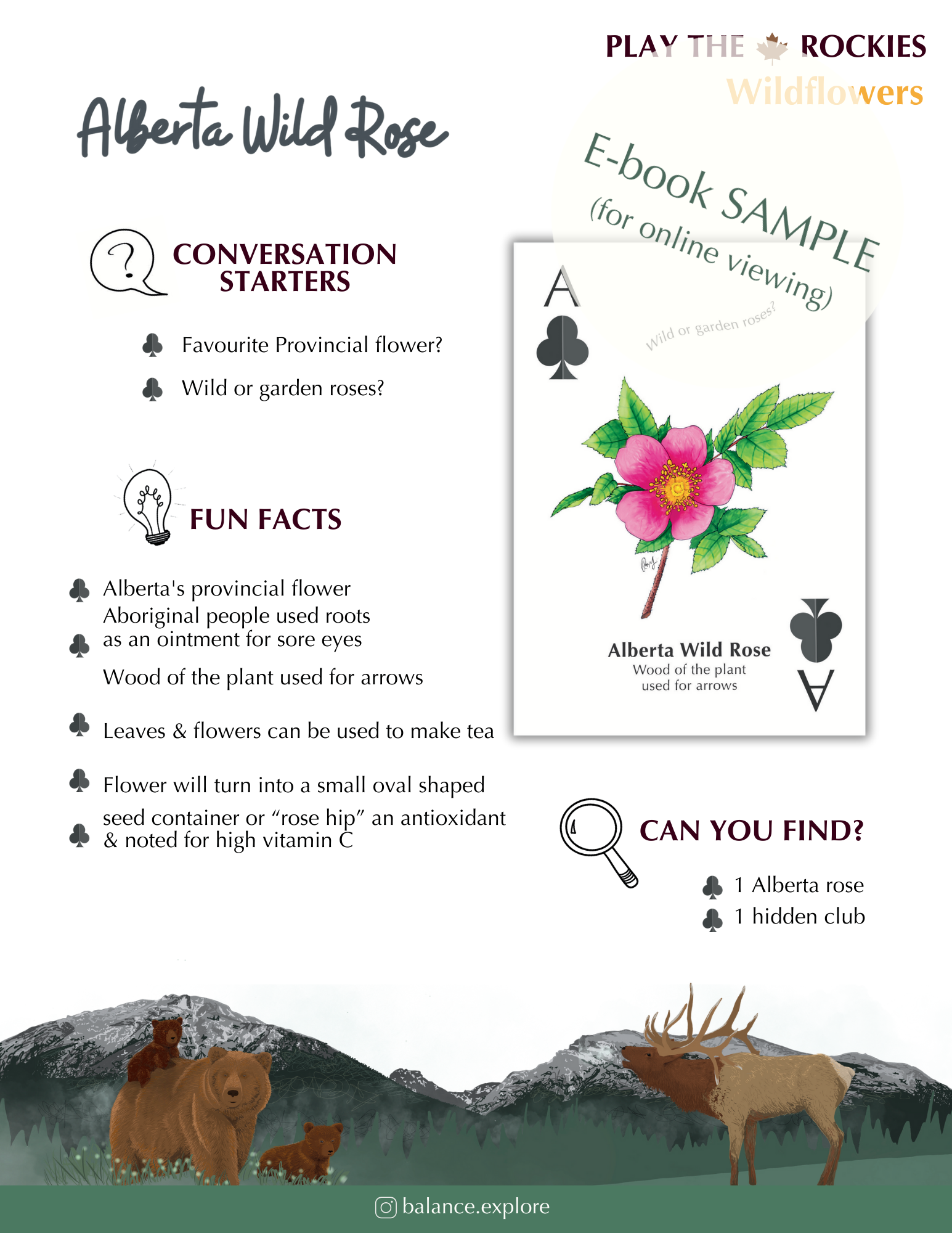 E-book of all: 54 Information Sheets • Mountains • Wildlife • Activities • Wildflowers