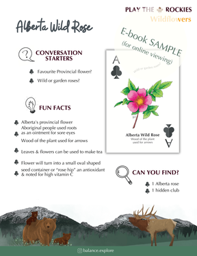 E-book of all: 54 Information Sheets • Mountains • Wildlife • Activities • Wildflowers