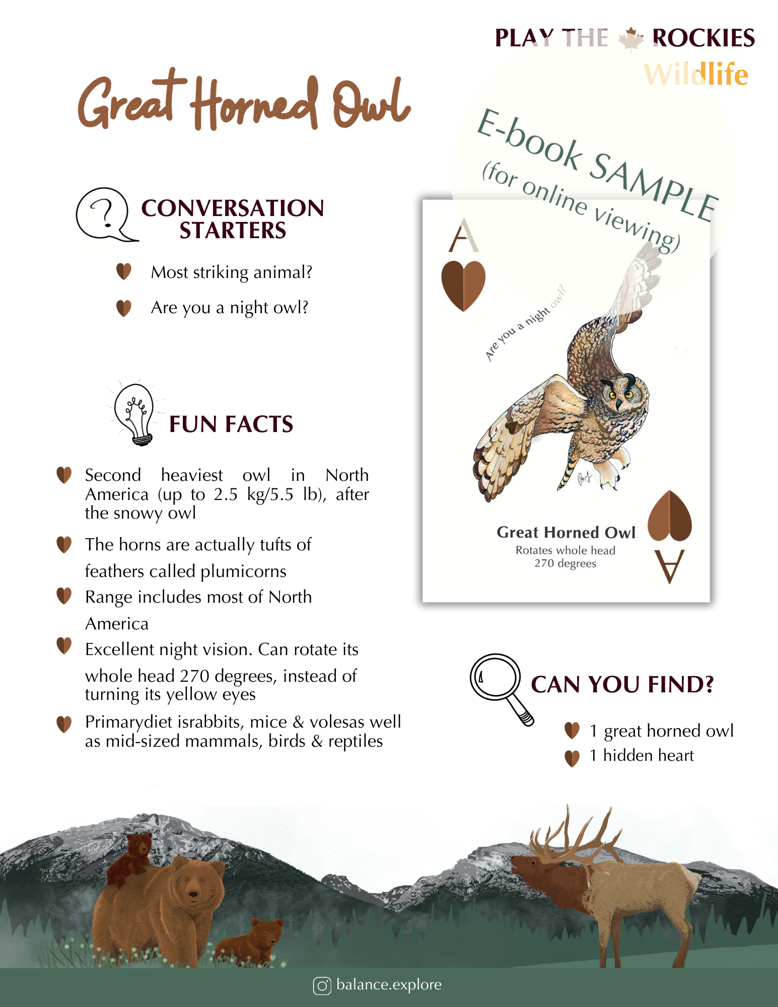 E-book of all: 54 Information Sheets • Mountains • Wildlife • Activities • Wildflowers