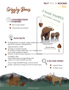 E-book of all: 54 Information Sheets • Mountains • Wildlife • Activities • Wildflowers