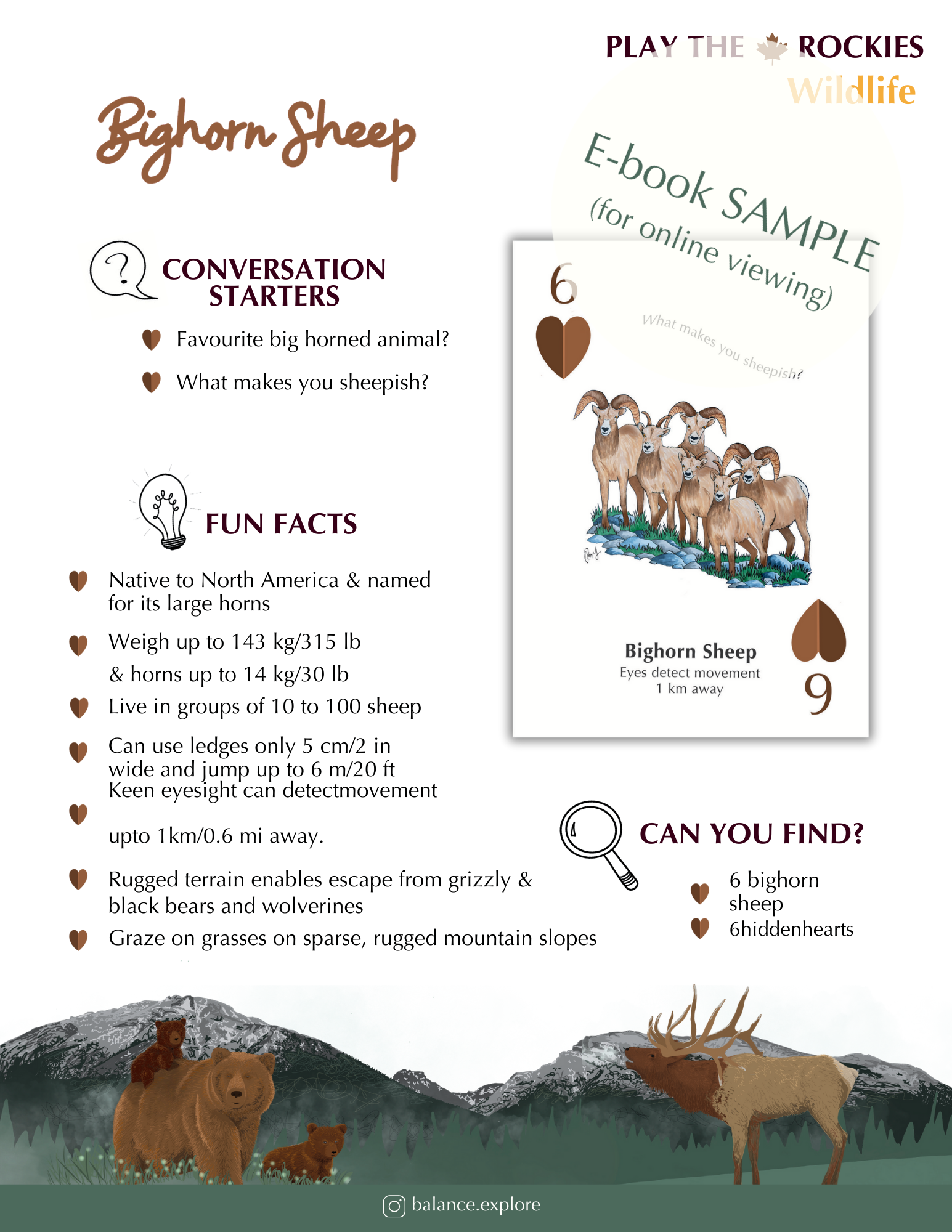 E-book of all: 54 Information Sheets • Mountains • Wildlife • Activities • Wildflowers