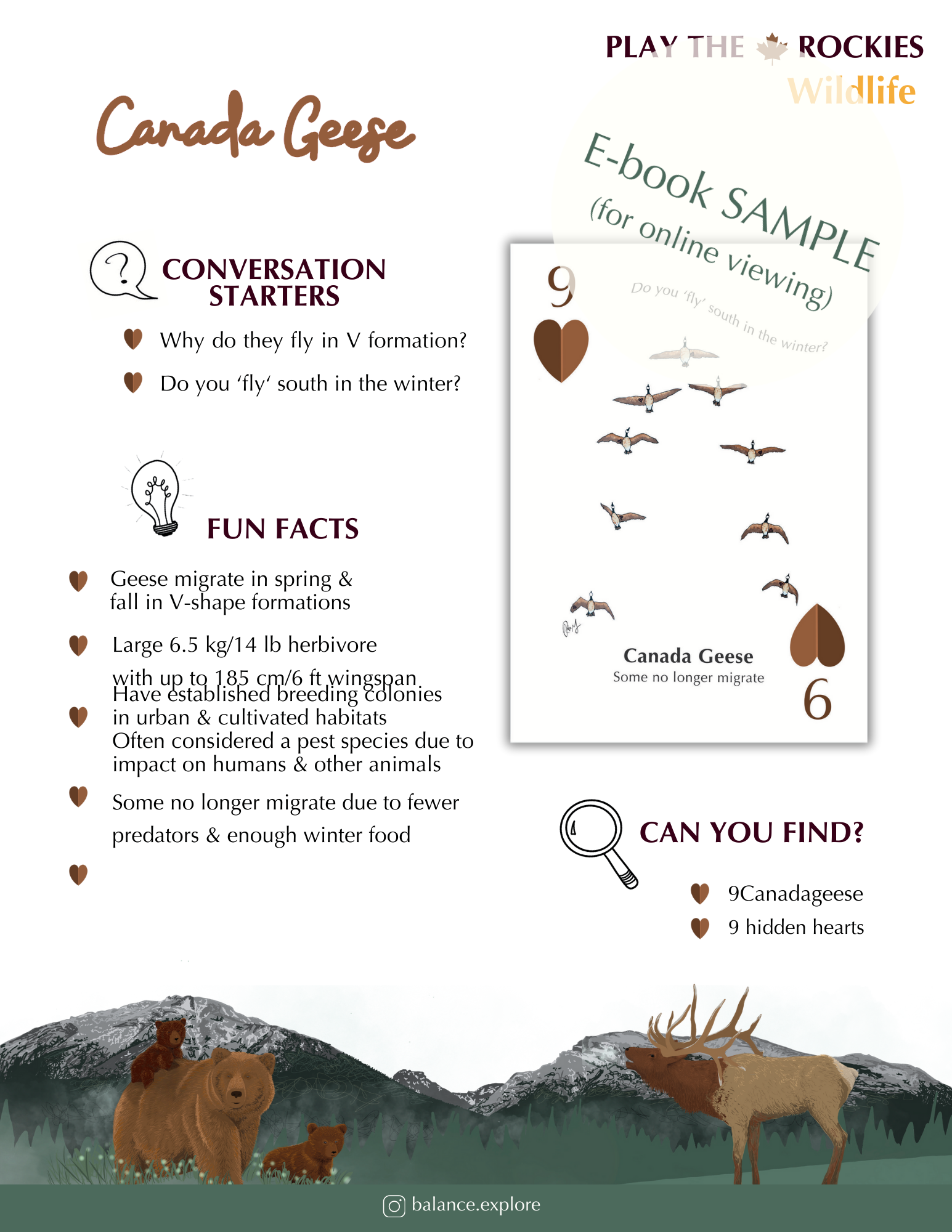 E-book of all: 54 Information Sheets • Mountains • Wildlife • Activities • Wildflowers