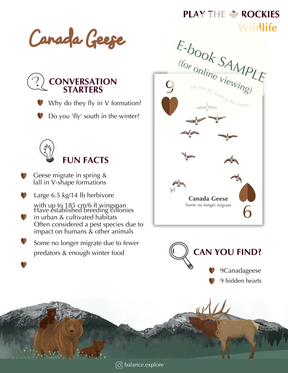 E-book of all: 54 Information Sheets • Mountains • Wildlife • Activities • Wildflowers