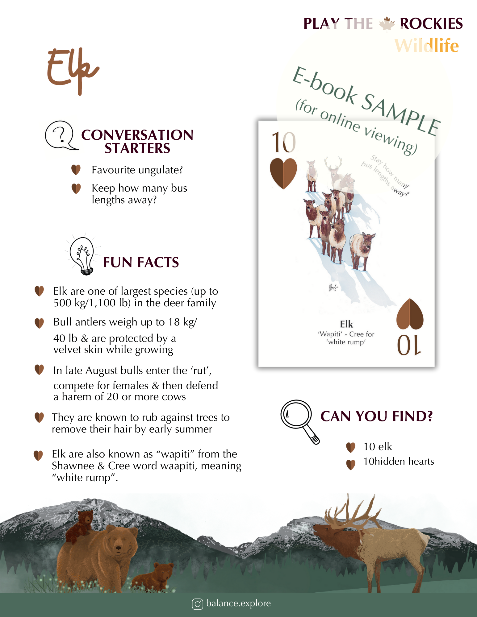 E-book of all: 54 Information Sheets • Mountains • Wildlife • Activities • Wildflowers