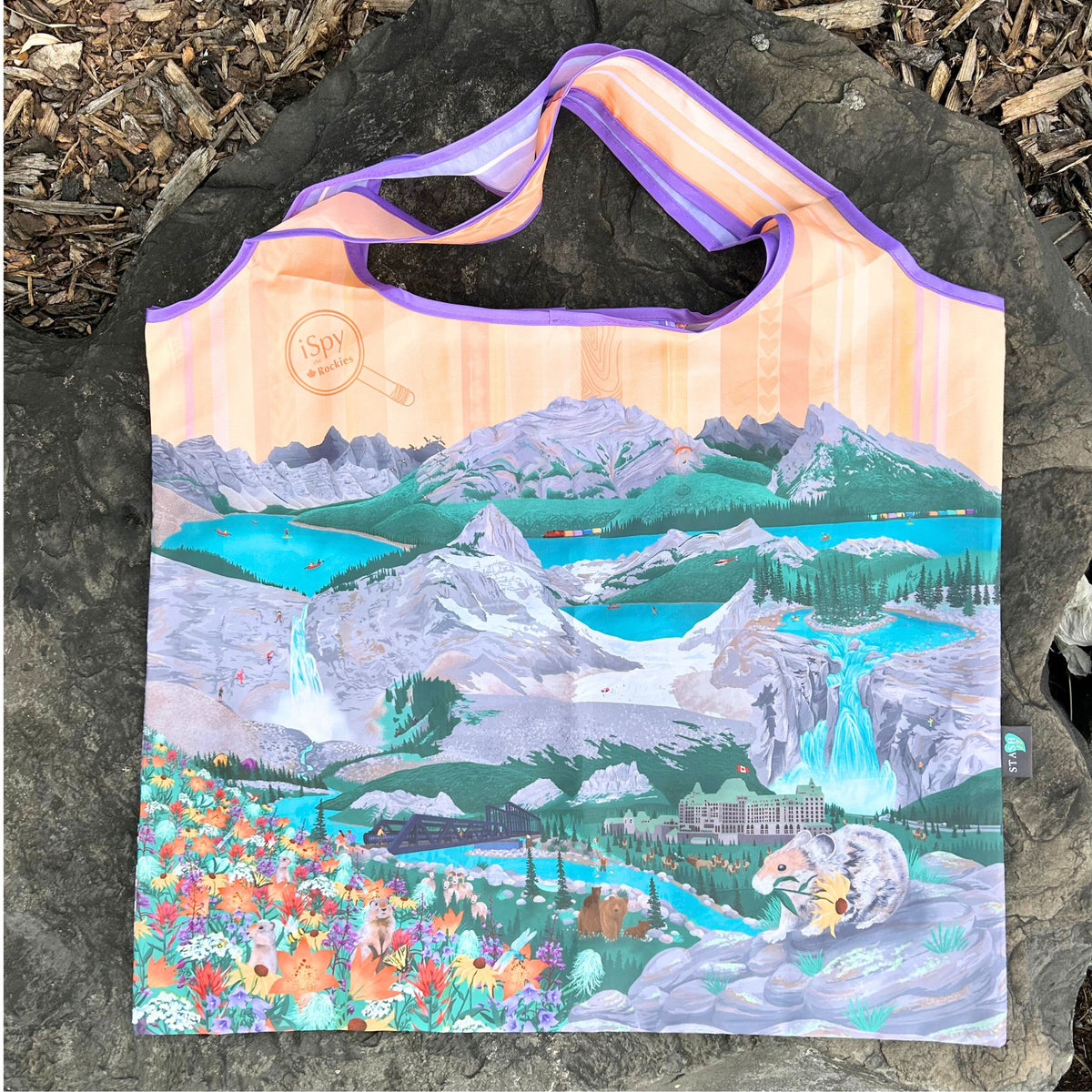 iSpy the Rockies : Reusable Tote Bag  ⌲ Summer + Winter