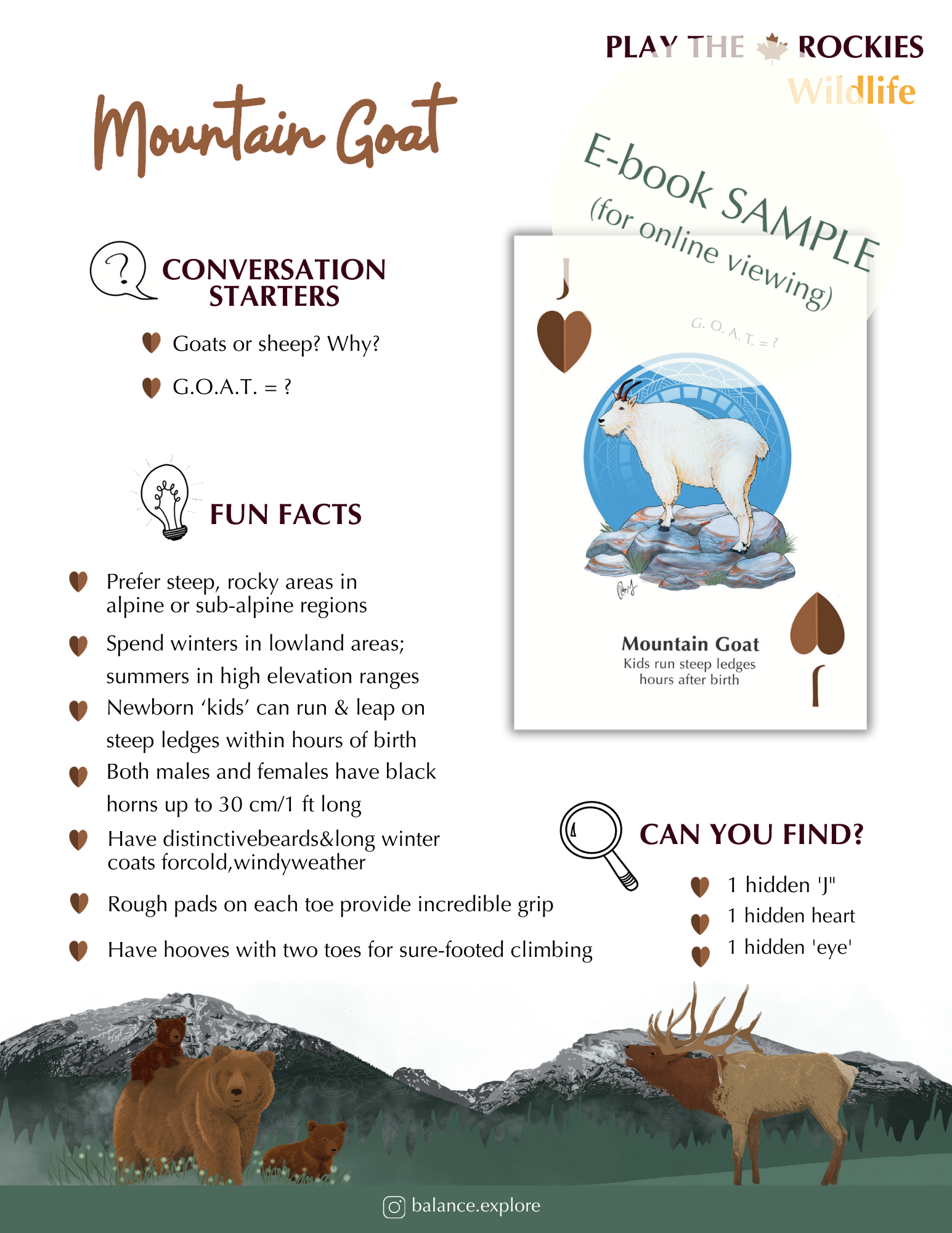 E-book of all: 54 Information Sheets • Mountains • Wildlife • Activities • Wildflowers