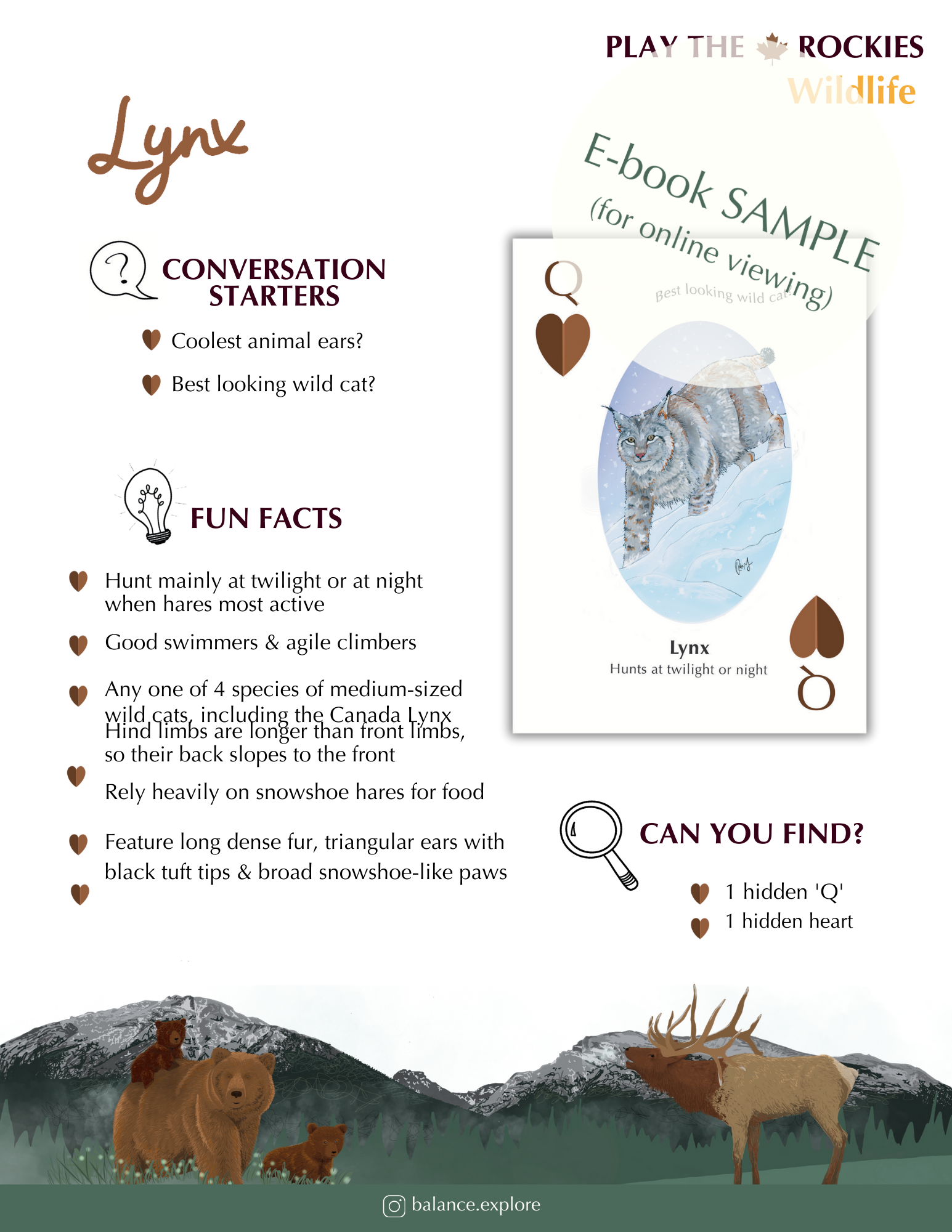 E-book of all: 54 Information Sheets • Mountains • Wildlife • Activities • Wildflowers