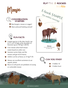 E-book of all: 54 Information Sheets • Mountains • Wildlife • Activities • Wildflowers