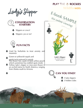 E-book of all: 54 Information Sheets • Mountains • Wildlife • Activities • Wildflowers