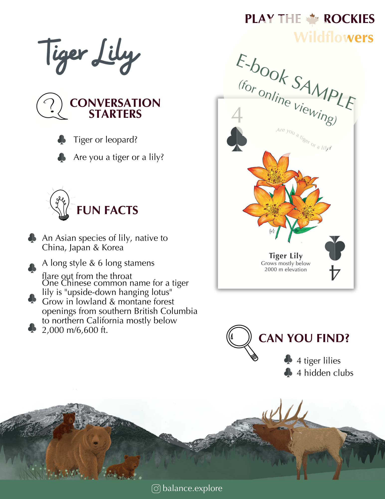 E-book of all: 54 Information Sheets • Mountains • Wildlife • Activities • Wildflowers