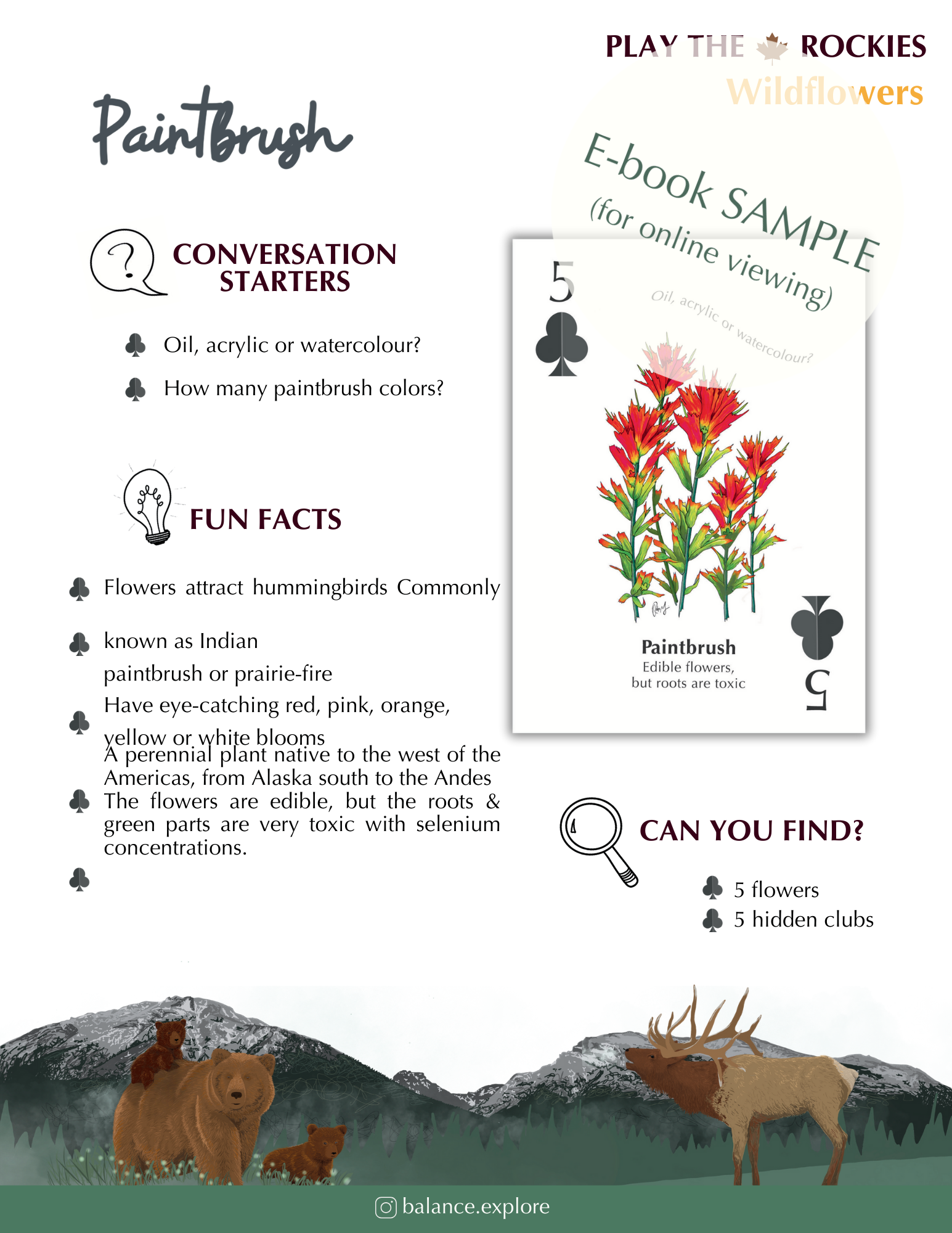 E-book of all: 54 Information Sheets • Mountains • Wildlife • Activities • Wildflowers