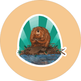 Beaver Sticker