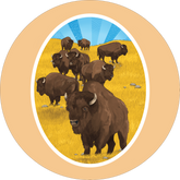 Bison Stickers