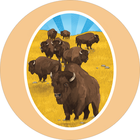 Bison Stickers