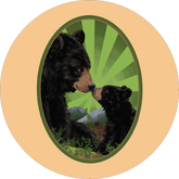 Black Bear Sticker