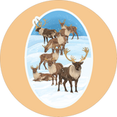 Caribou Stickers