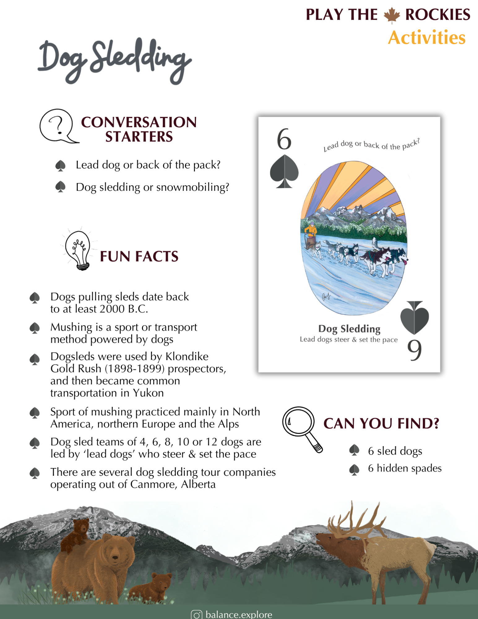 6 Dog Sledding - Activities - Information Sheet