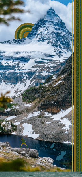 Assiniboine  Buff ⌲ LIMITED EDITION