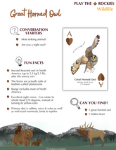 1 Ace - Great Horned Owl - Wildlife - Information Sheet