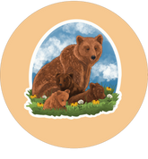 Grizzly Bear Sticker