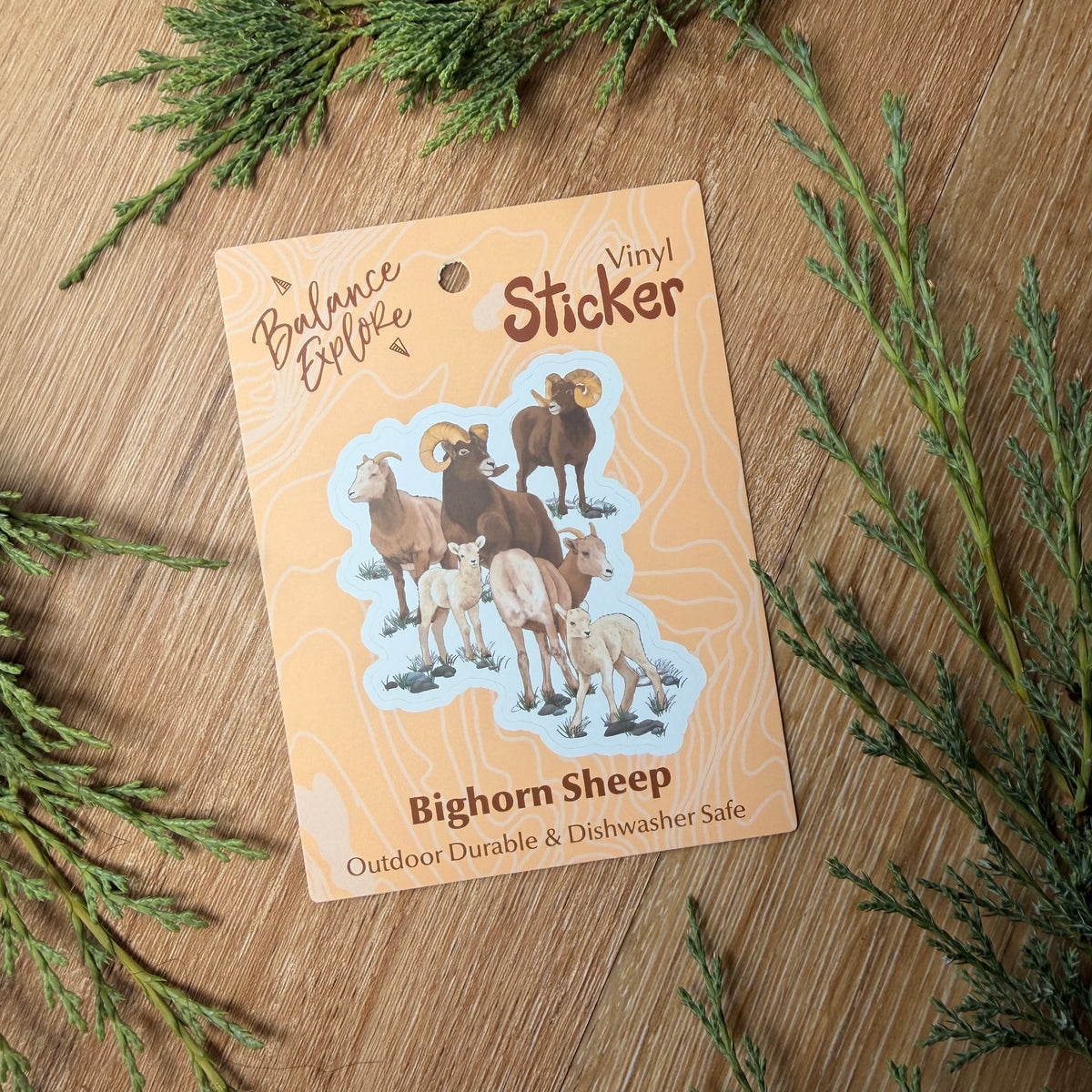 Bighorn Sheep Stickers