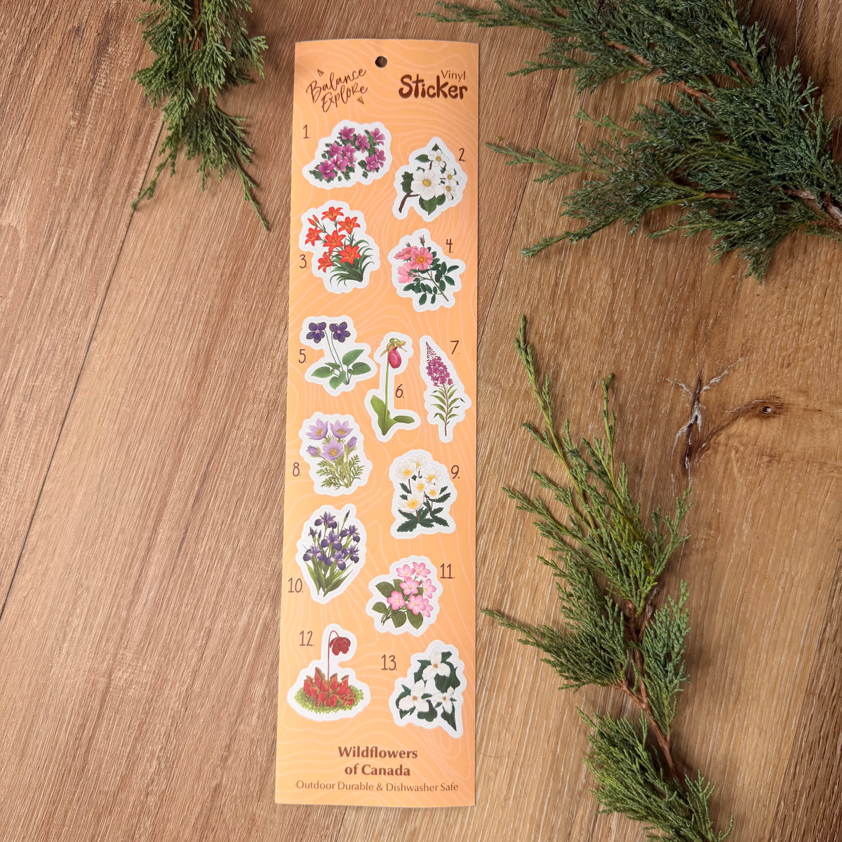 Wildflowers of Canada Sticker Sheet