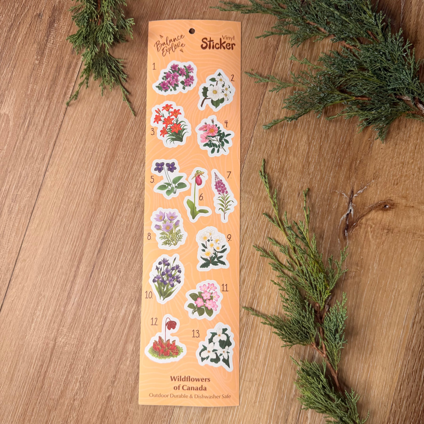 Wildflowers of Canada Sticker Sheet