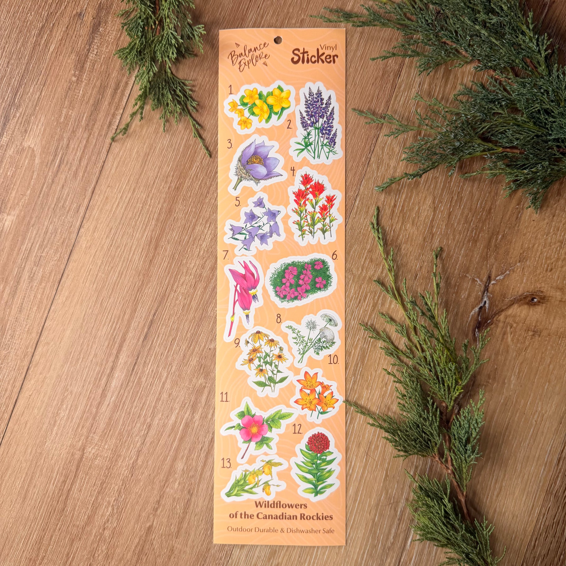 Wildflowers of the Rockies Sticker Sheet