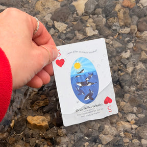 Play Canada - Playing Cards