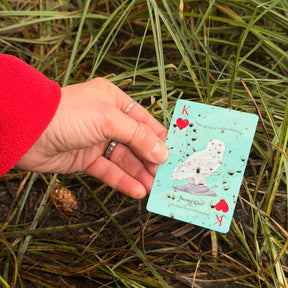 Play Canada - Playing Cards