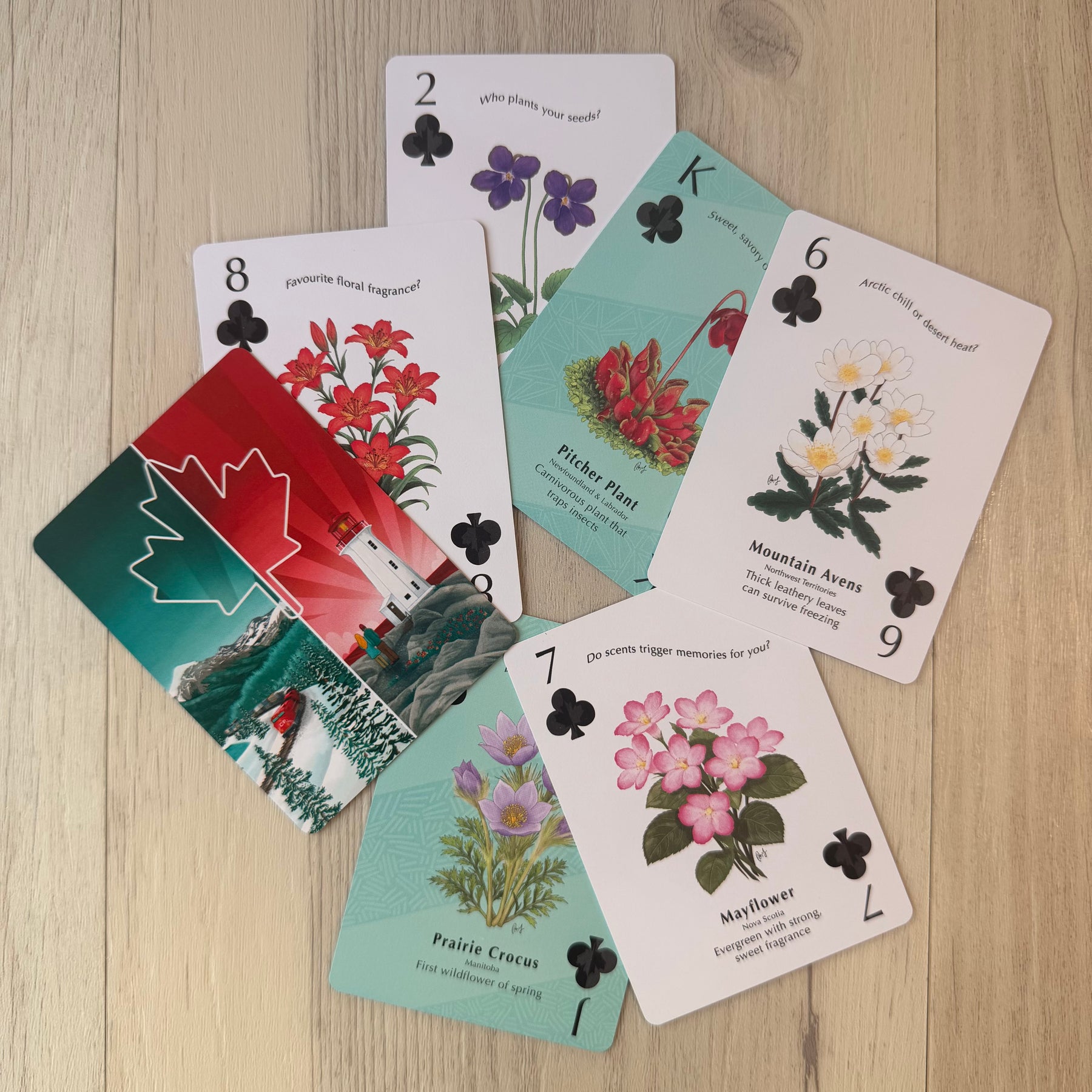 Play Canada - Playing Cards