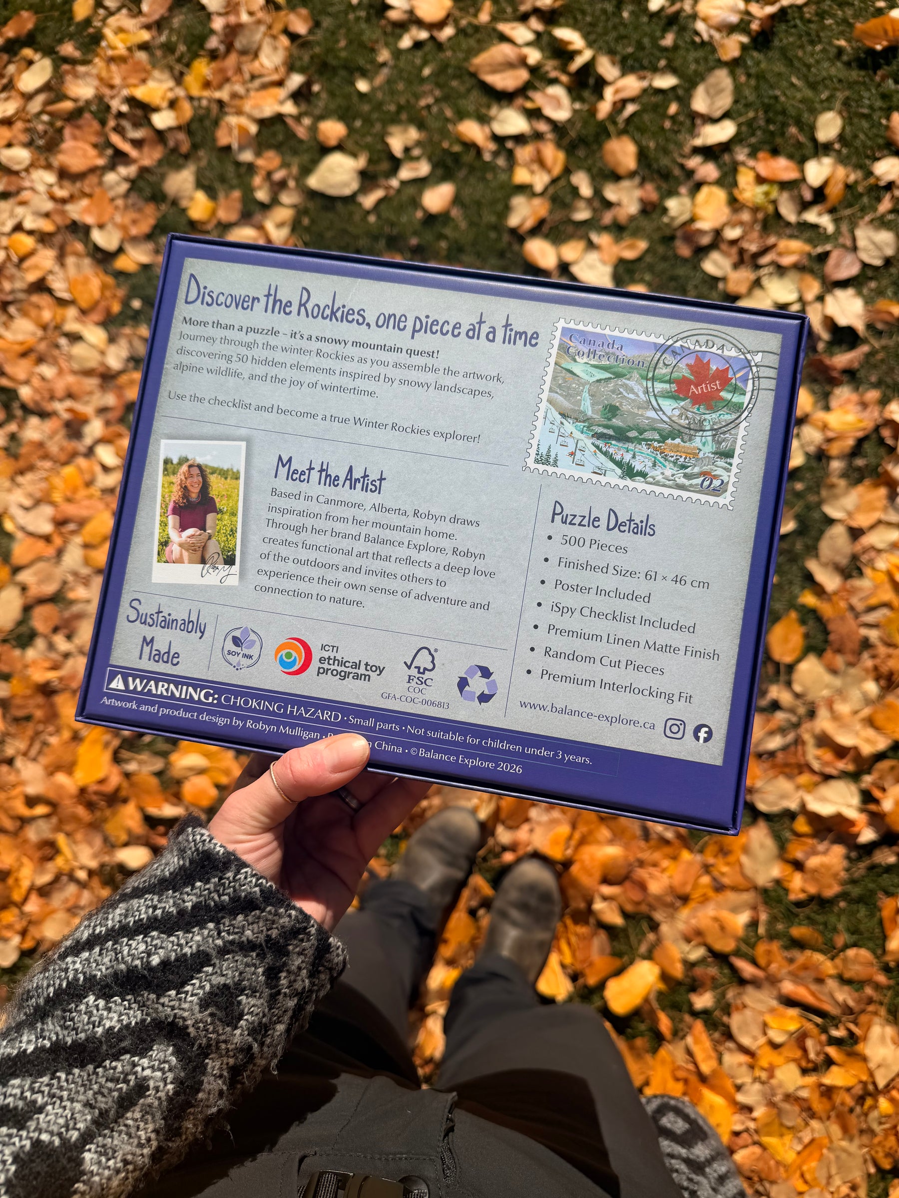 iSpy The Canadian Rockies - 500 Piece Puzzle - Winter Edition
