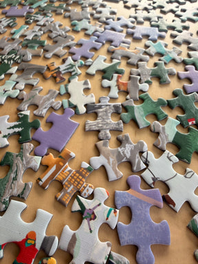 iSpy The Canadian Rockies - 500 Piece Puzzle - Winter Edition