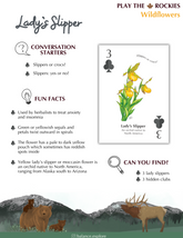 3 Lady's Slipper - Wildflowers - Information Sheet