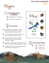 14 Joker - Magpie - Wildlife - Information Sheet