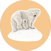 Polar Bears Sticker
