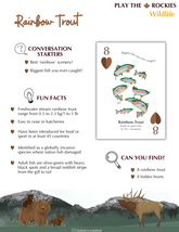 8 Rainbow Trout - Wildlife - Information Sheet