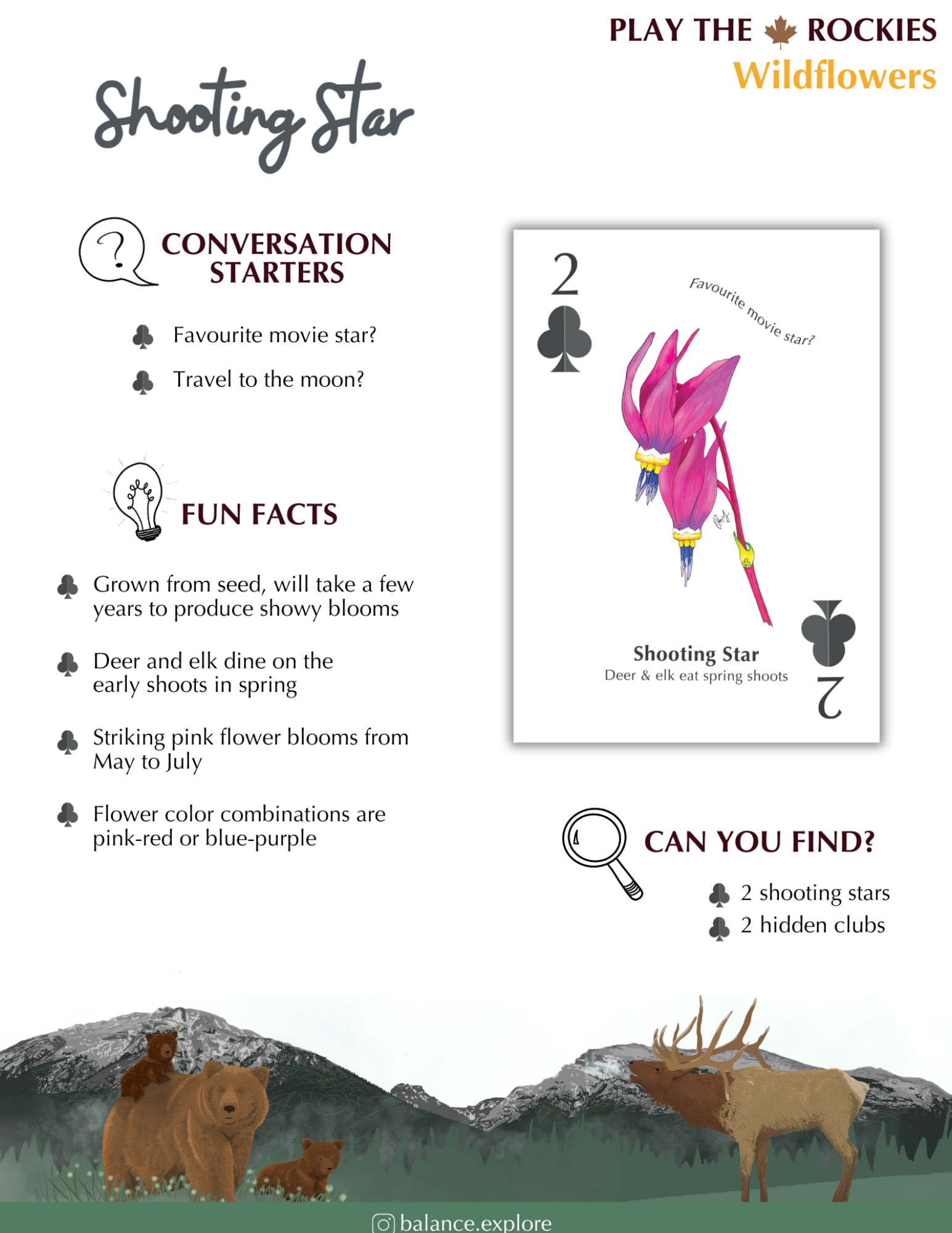 2 Shooting Star - Wildflowers - Information Sheet