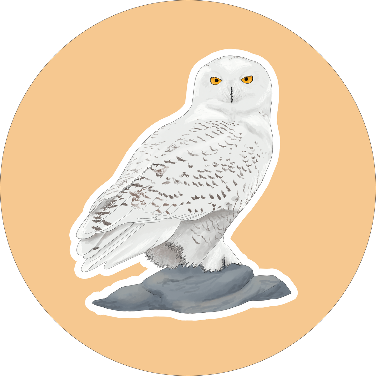 Snowy Owl Stickers