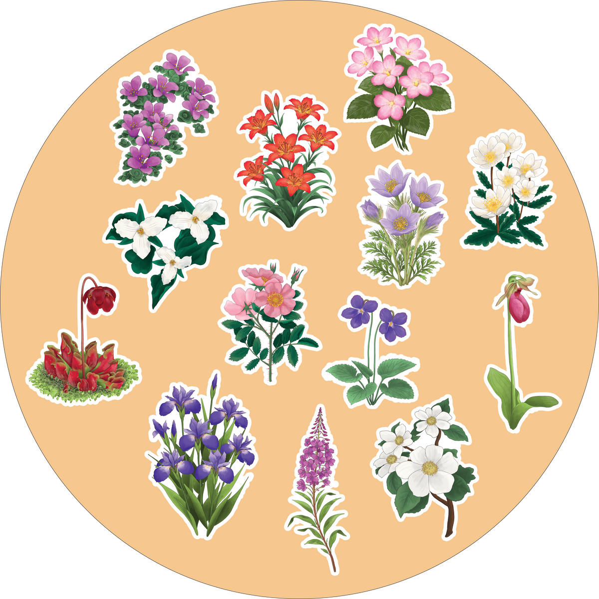 Wildflowers of Canada Sticker Sheet